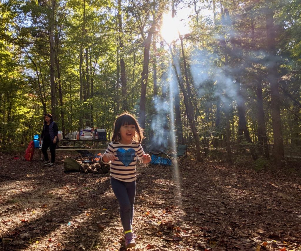 See how I managed campfire cooking on our first family camping trip! Get some great "from scratch" recipe ideas for your next camping adventure.